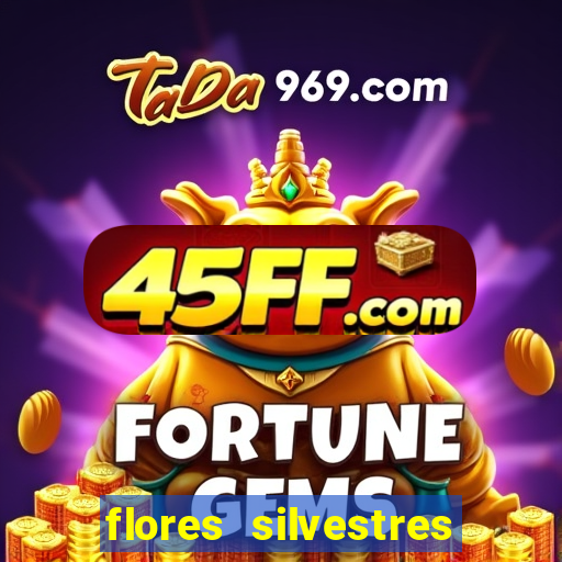 flores silvestres desbravadores desbravadores 25 flores silvestres e seus nomes